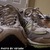 Walk 2000 miles in 2013