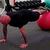 Push-Ups  On An Exercise Ball