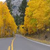 Most Treadmill Miles September 2013